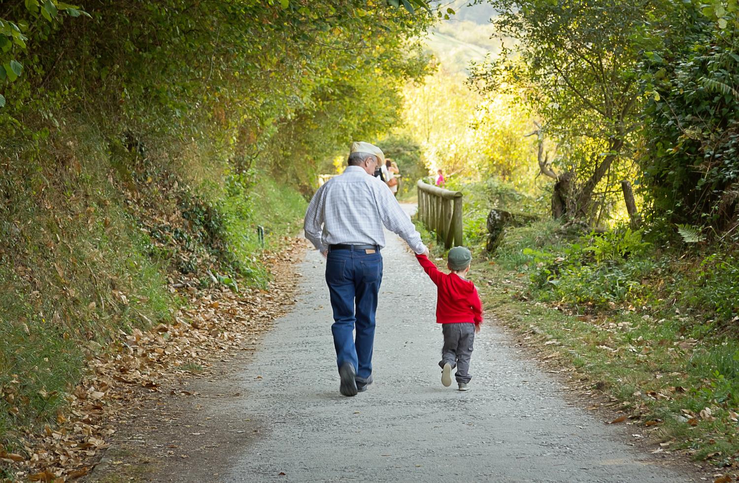 Nature path - Grandfather and grandchild walking, holding hands